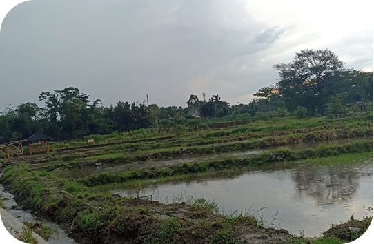 wisata-pertanian