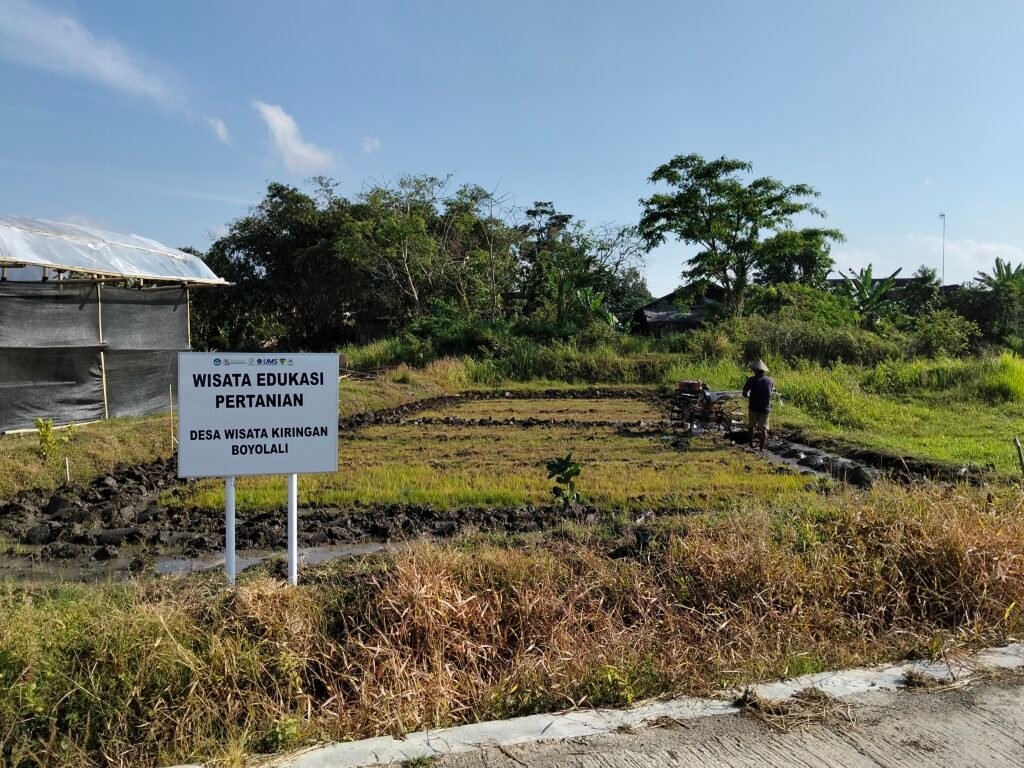 wisata pertanian desa kiringan